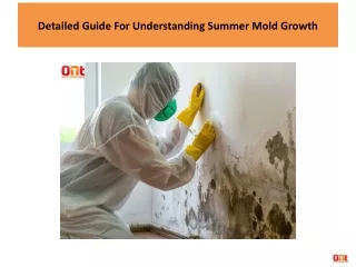 Detailed Guide For Understanding Summer Mold Growth