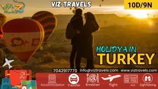 viz travels pdfppt