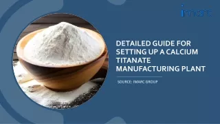 Report on a Calcium Titanate Manufacturing Plant PDF
