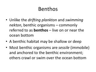 Benthos