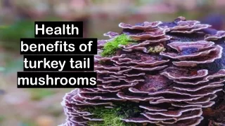 Health benefits of turkey tail mushrooms