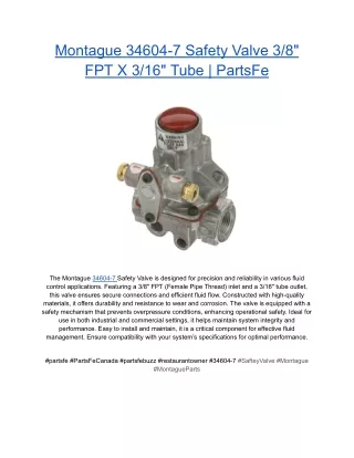 Montague 34604-7 Safety Valve 3_8_ FPT X 3_16_ Tube _ PartsFe