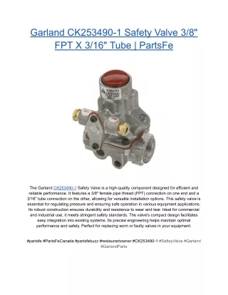 Garland CK253490-1 Safety Valve 3_8_ FPT X 3_16_ Tube _ PartsFe
