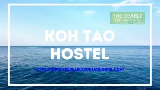 Diving In Koh Tao| The Dearly Koh Tao