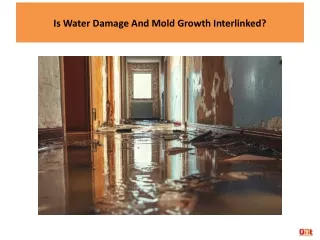 Is Water Damage And Mold Growth Interlinked?