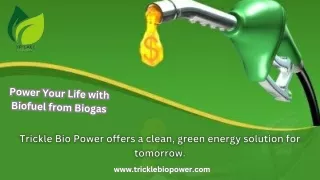 Go Green with Biofuel from Trickle Bio Power