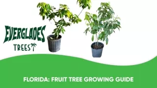 Florida Fruit Tree Growing Guide