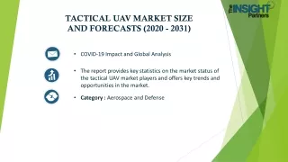 Tactical UAV Market Size and Forecasts (2021 - 2031)