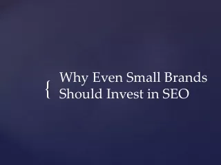 Why Even Small Brands Should Invest in SEO