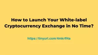 How to Launch Your White-label Cryptocurrency Exchange in No Time_