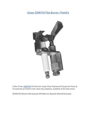 Groen Z096705 Pilot Burner | PartsFe