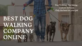 Best Dog Walking Company Online