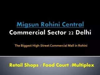 Migsun Rohini Central Commercial Sector 22 Delhi