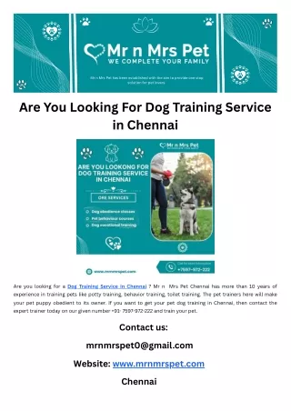 Are You Looking For Dog Training Service in Chennai