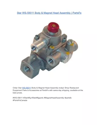 Star WS-59011 Body & Magnet Head Assembly | PartsFe