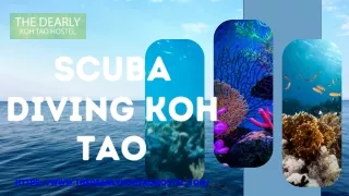 Diving Koh Tao| The Dearly Koh Tao