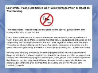 Economical Plastic Bird Spikes Won't Allow Birds