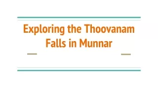 Exploring the Thoovanam Falls in Munnar