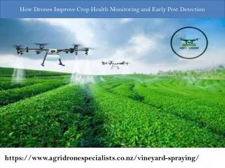 How Drones Improve Crop Health Monitoring and Early Pest Detection