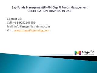 Sap Funds Management (FI-FM)certification training in uae