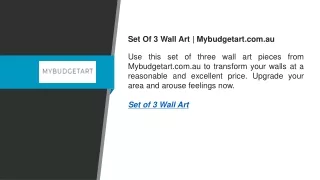 Set Of 3 Wall Art  Mybudgetart.com.au