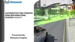 Automotive TSR (Traffic Sign Recognition) System Market Size, Share, Growth