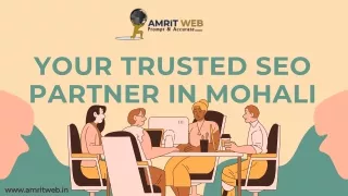 Your Trusted SEO Partner in Mohali Amrit web