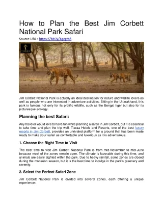 How to Plan the Best Jim Corbett National Park Safari