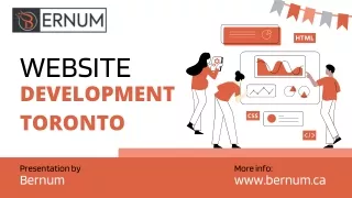 Professional Web Development Firm for Your Needs