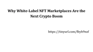 Why White-Label NFT Marketplaces Are the Next Crypto Boom