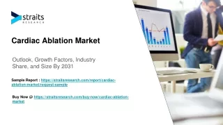 Cardiac Ablation Market Size & Growth Prospects | 2023 - 2031