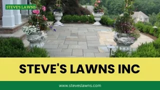 Elevate Your Business with Steve’s Lawns Inc.  New York’s Landscaping Experts