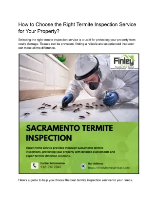 How to Choose the Right Termite Inspection Service for Your Property