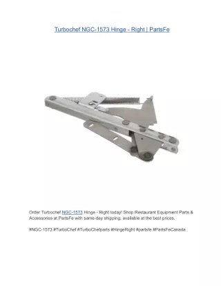 Turbochef NGC-1573 Hinge - Right | PartsFe