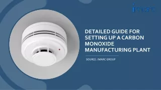 Detailed Report On Carbon Monoxide Manufacturing Unit PDF