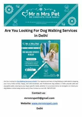 Are You Looking For Dog Walking Services in Delhi