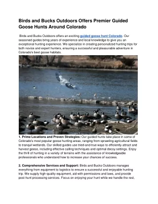 Birds and Bucks Outdoors Offers Premier Guided Goose Hunts Around Colorado (1)