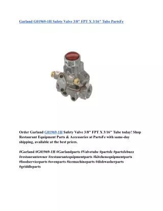 Garland G01969-1H Safety Valve 3_8_ FPT X 3_16_ Tube PartsFe