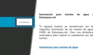 Iluminación para fuentes de agua  Estanques.net