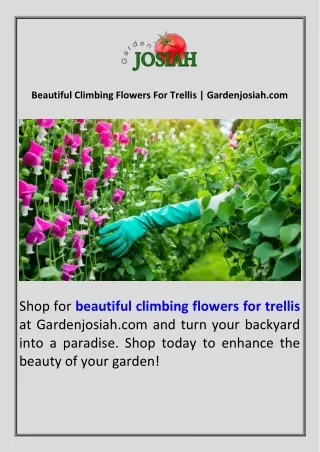Beautiful Climbing Flowers For Trellis  Gardenjosiah.com