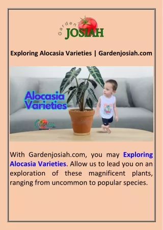 Exploring Alocasia Varieties  Gardenjosiah.com