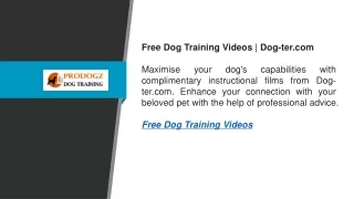 Free Dog Training Videos  Dog-ter.com