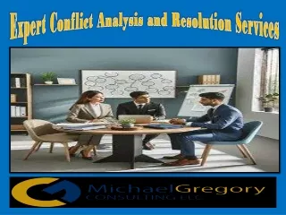 Expert Conflict Analysis and Resolution Services