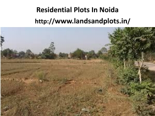 Residential Plots In Gurgaon