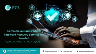 Common Scenarios Where Password Recovery Services Are Needed