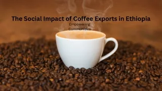 Exploring the Role of Coffee in Economic and Social Development