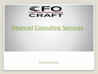 Financial Consulting Services