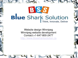 Website design Winnipeg-an increase to internet company tren