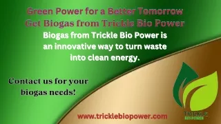 Sustainable Energy Choice: Get Biogas from Trickle Bio Power