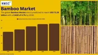 Bamboo Market